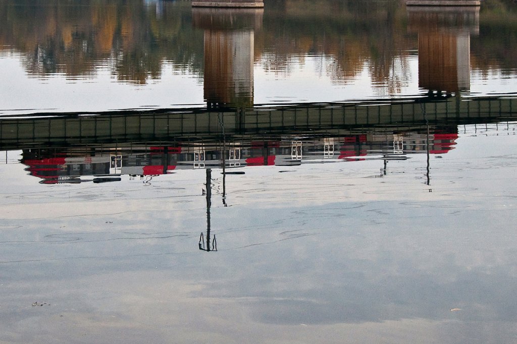 Ein Entchen in heimischen Gefilden ... am 04.11.2012.