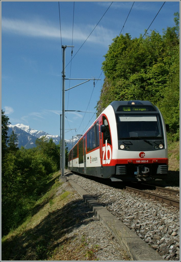 ...ein  Fink ...
bei Niederried, den 5. Juni 2013