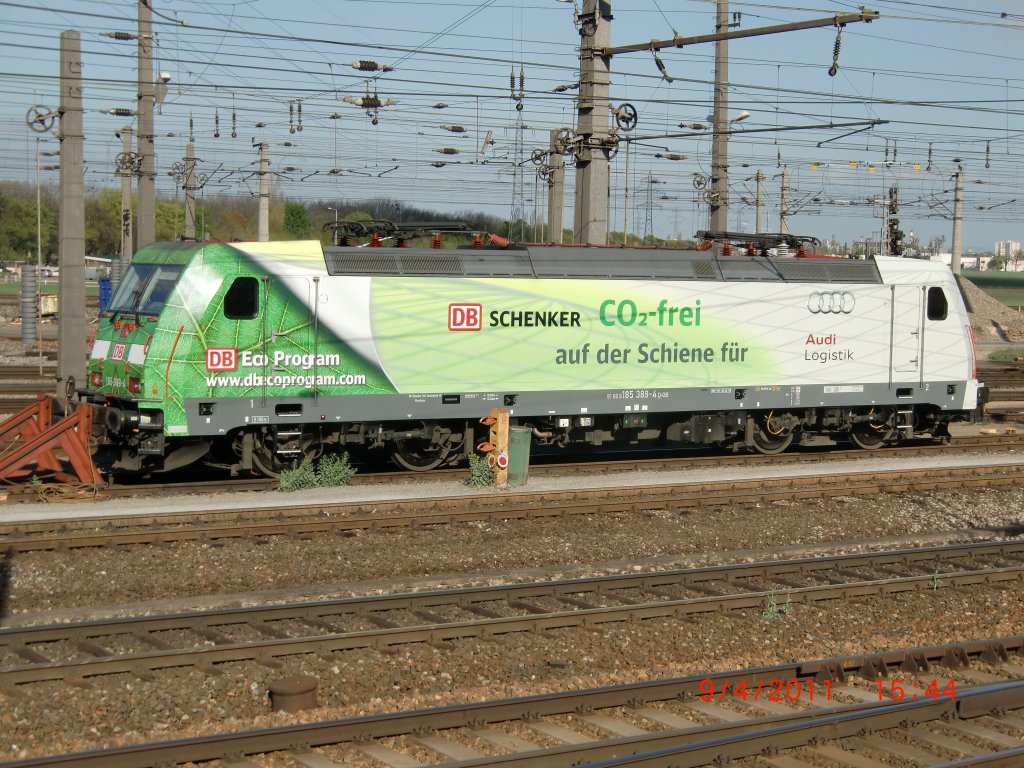 Ein Gast, mit dem nicht zu rechnen war, zeigte sich am Nachmittag des 9.4.2011 auf dem Zentralverschiebebahnhof Wien-Kledering.