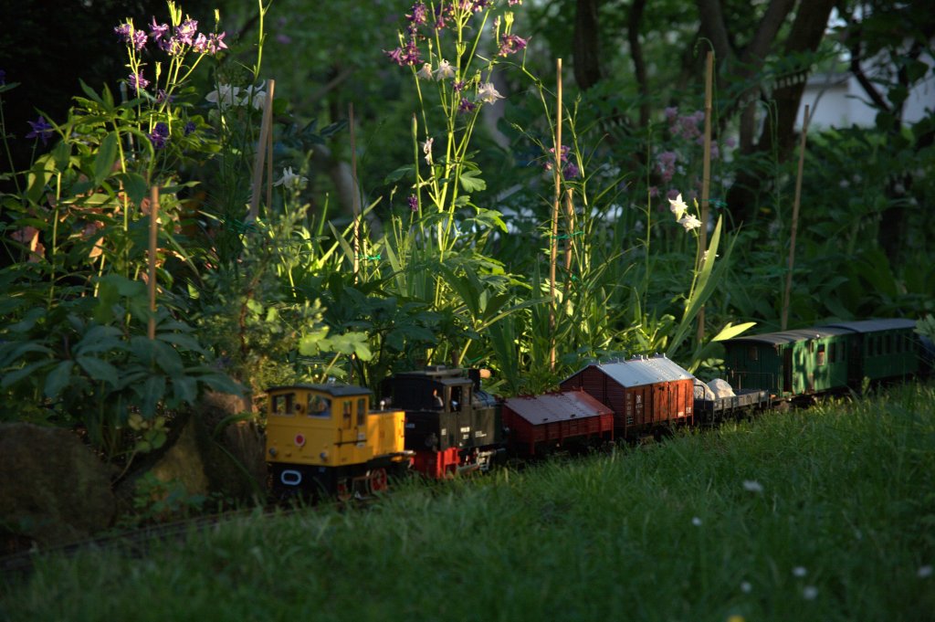 Ein GMP mit 10 Wagen ist fr einen kleinen B-Kuppler eine Herausforderung, wenn die Strecke dazu noch etwas kurvig ist und in der Kurve ansteigt. Deshalb mu heute 
bei der Gartenbahn ein Vorspann  her, eine gelbe Kleindiesellok.
Aufgenomen am 20.5.2012 im Abendlicht gegen 20:38 Uhr