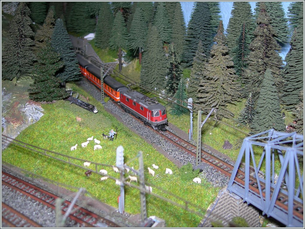 Ein Grund fr den Misserfolg meiner alten  Z  Anlage waren die zugebauten (bzw. zu zubauenden) Schattenbahnhfe, so dass im Strungsfall ein Eingreifen kaum mglich war. Diesem Umstand wird auf der  neuen  Anlage nun Rechnung getragen,  so dass sich die verdeckten Teile offen zugnglich hinter einer Kulisse befinden. 
Auf dem Bild fahrt gerade eine Re 4/4 II mit einem EC aus Tunnellos dem  Kulissenwald  hinter welchem sich ein Schattenbahnhof verbirgt.
3. Mrz 2013