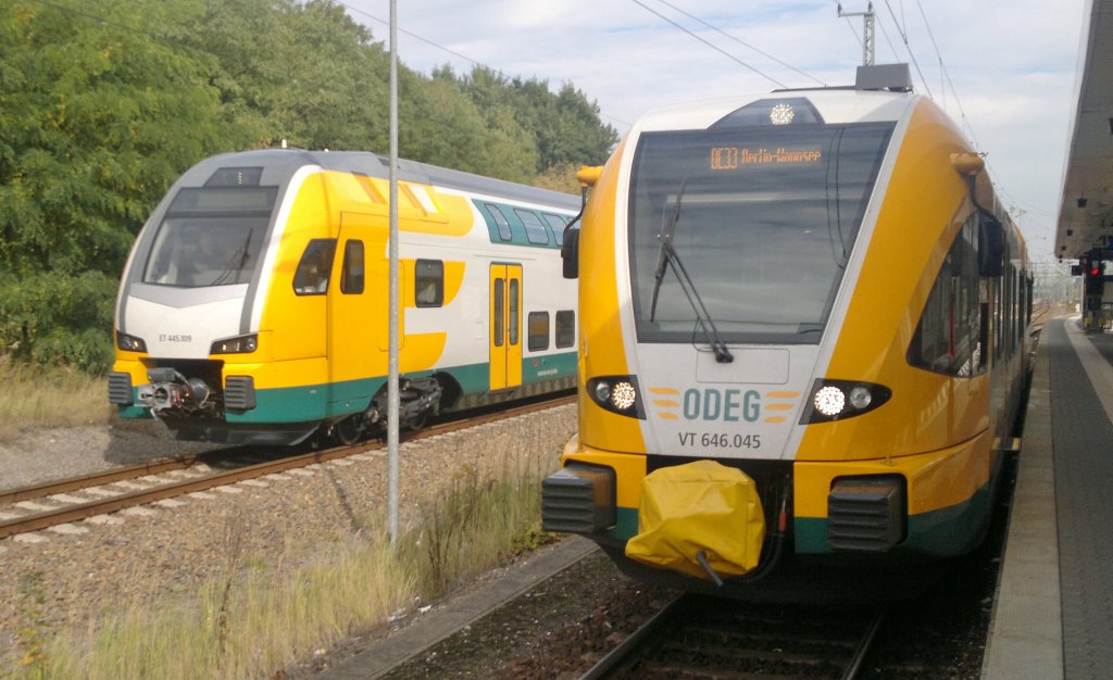 Ein GTW (646 045) sowie ein KISS (445 109 Schulungsfahrt) der ODEG im Bahnhof Jterbog am 12.10.2012. (c) by Vico Schulze