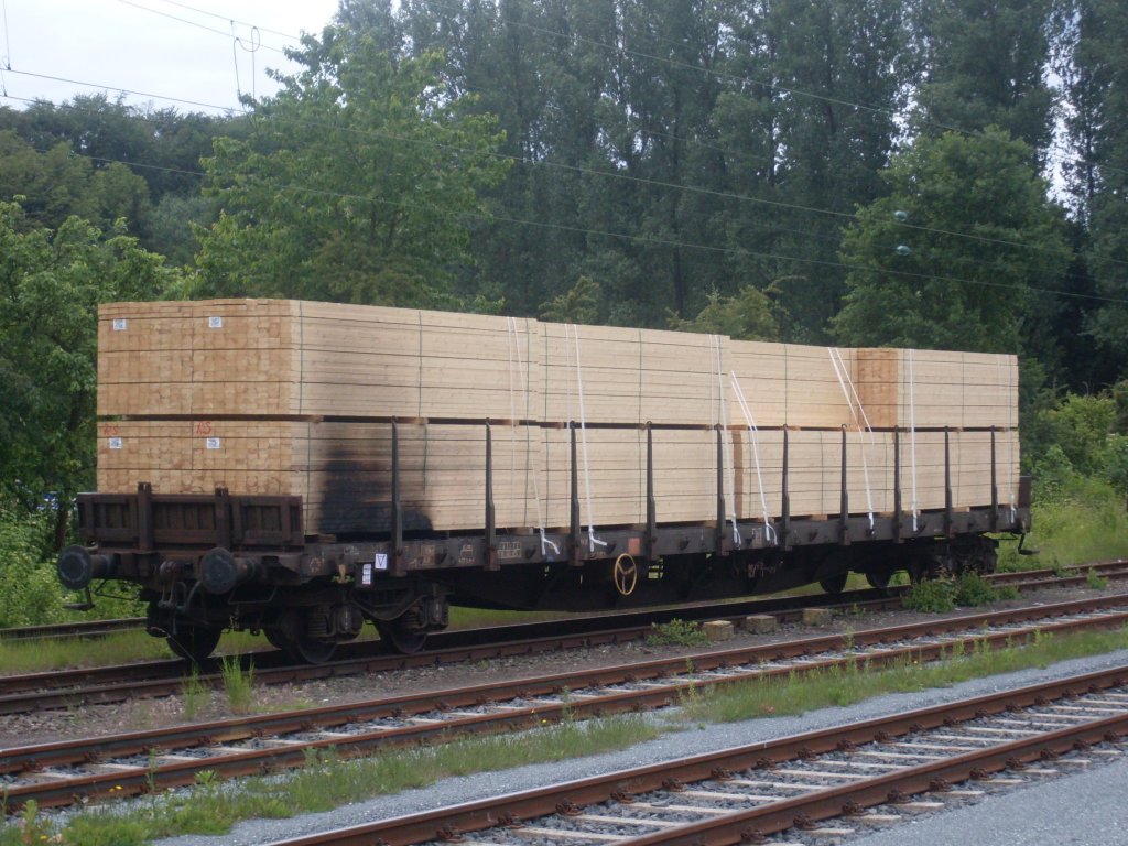Ein G�terwagen mit vermutlich hei�gelaufener Bremse stand am 4. Juni 2009 im Bahnhof Hochstadt-Marktzeuln abgestellt.