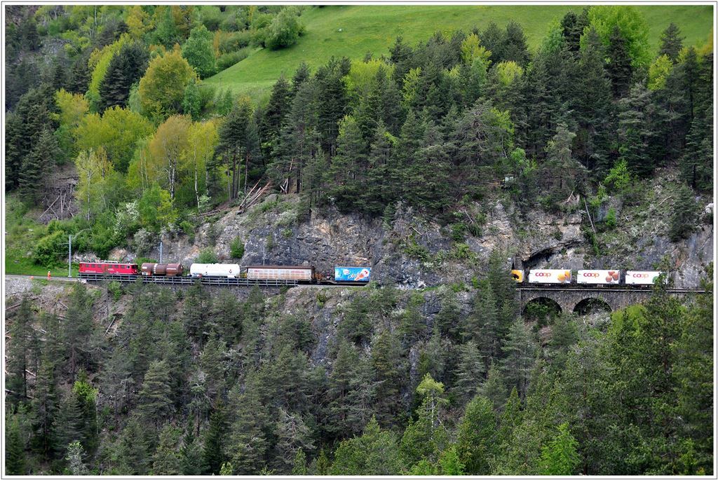 Ein Gterzug mit der Ge 6/6 II 703  Pontresina/Puntraschigna  durchquert das 27m lange Zalainttunnel. (22.05.2013)