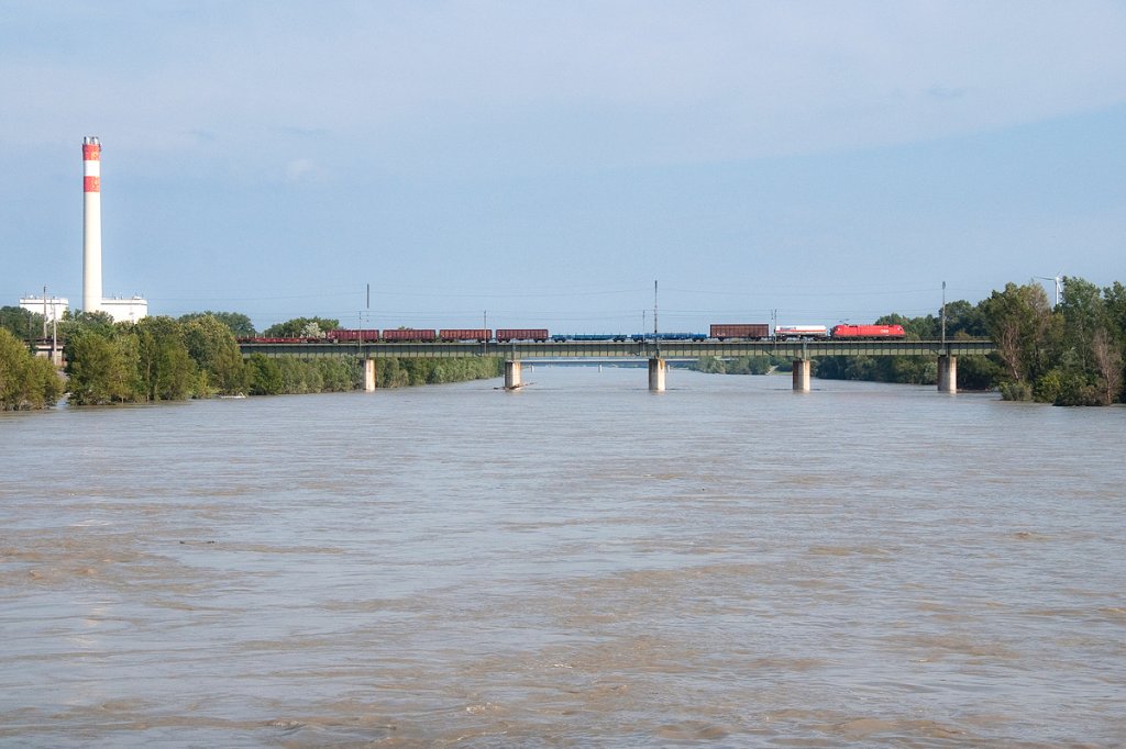 Ein Gterzug quert die neue Donau in Wien. Die Aufnahme enstand am 07.06.2013, als die Pegelstnde der Donau bereits wieder zu sinken begannen.
