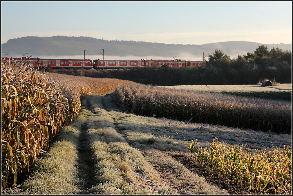 Ein Herbstmorgen an der S-Bahnlinie S2 im Remstal. 

22.10.2010 (Matthias)