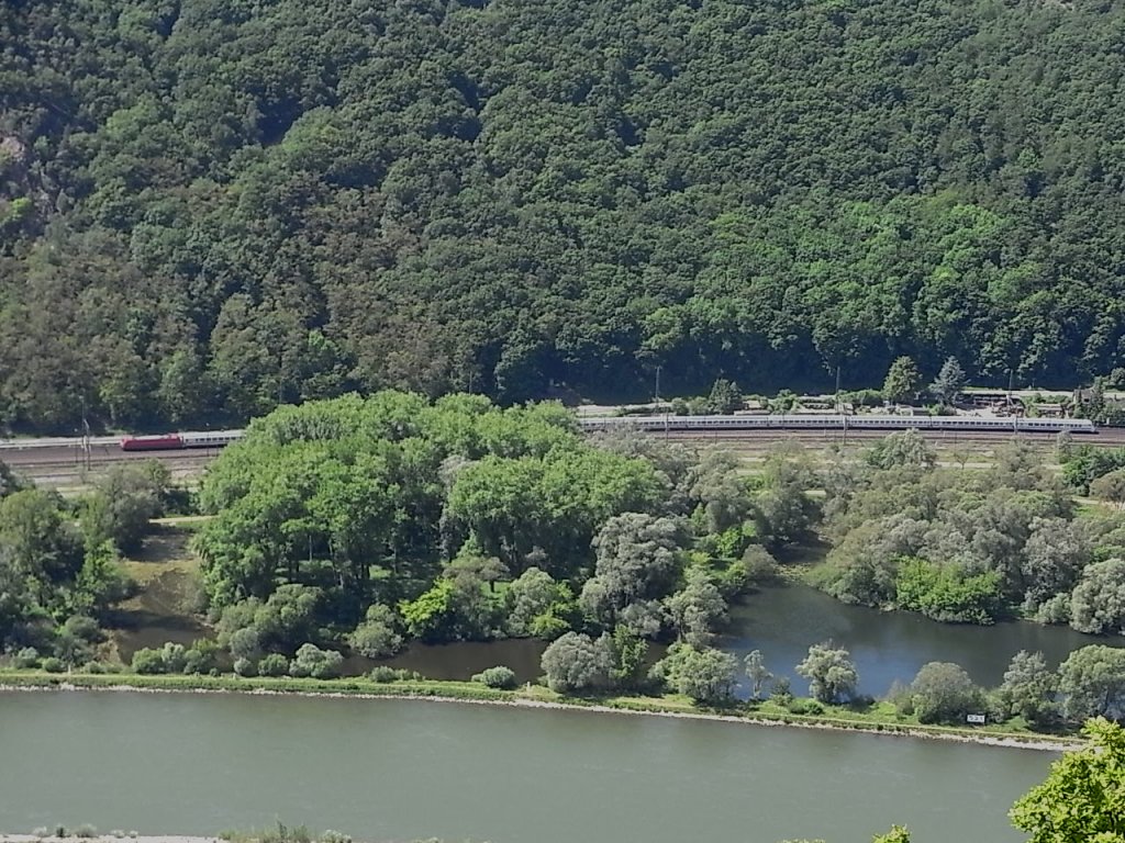 Ein IC mit Triebkopf voraus fhrt den Rhein entlang. Mai 2010.