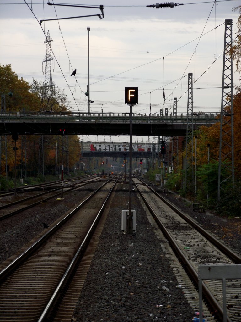 Ein Lichtsignal am 03.11.11 in Frankfurt am Main Griesheim