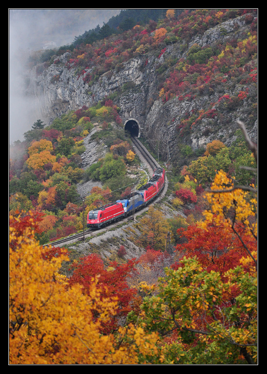 Ein Lokzug in der Nhe von Zanigrad auf der Koperbahn(14.11.2009).