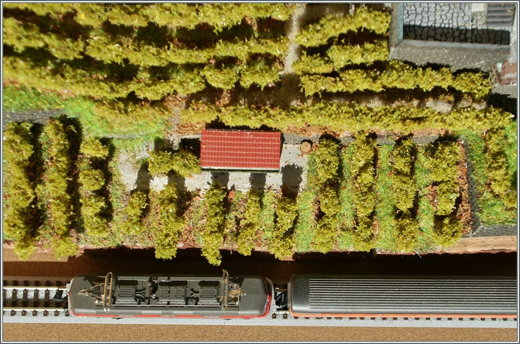 Ein  Luftbild  auf meinen mini-club-Weinberg.
30. Okt. 2012