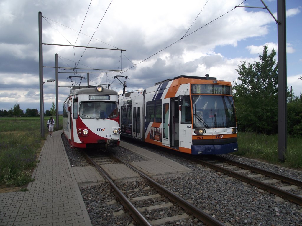 Ein OEG Dwag GT in Mannheim am 15.05.11 neben einer Mannheimer Straenbahn 