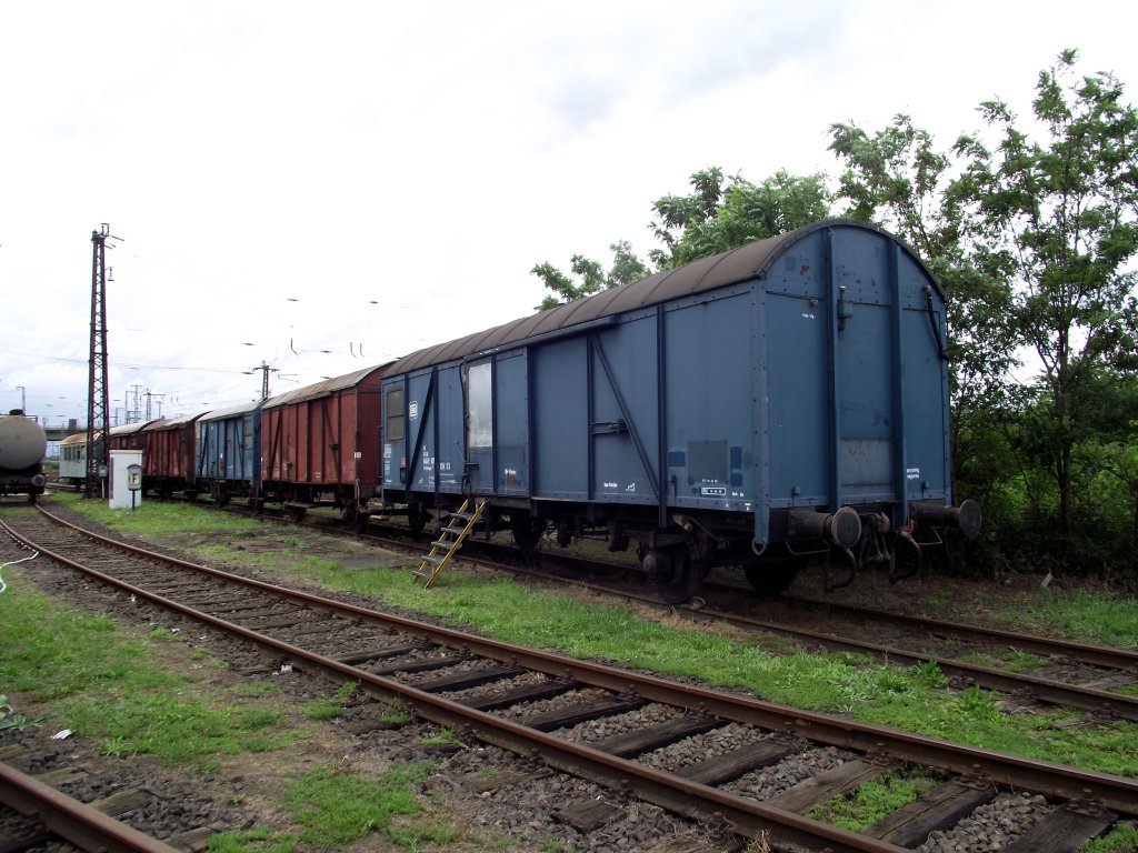 Ein paar alte Gterwagen stehen am 06.08.11 in Hanau