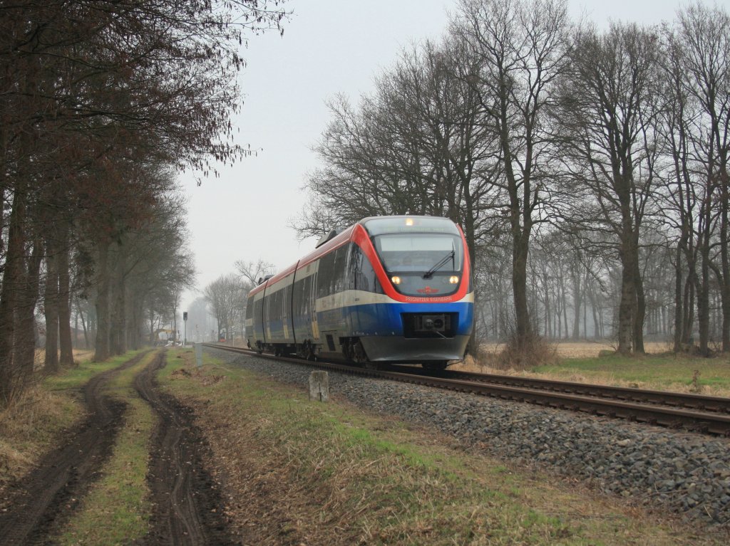 Ein PEG Talent ist als RB51  Westmnsterland-Bahn  nach Dortmund Hbf zwischen Gronau-Epe und Ahaus unterwegs.
Gronau-Epe, 05.03.2011