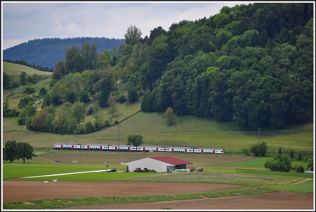 Ein RABe 511 als RE3774 Zrich HB-Schaffhausen zwischen Glattfelden und Eglisau. (03.06.2013)