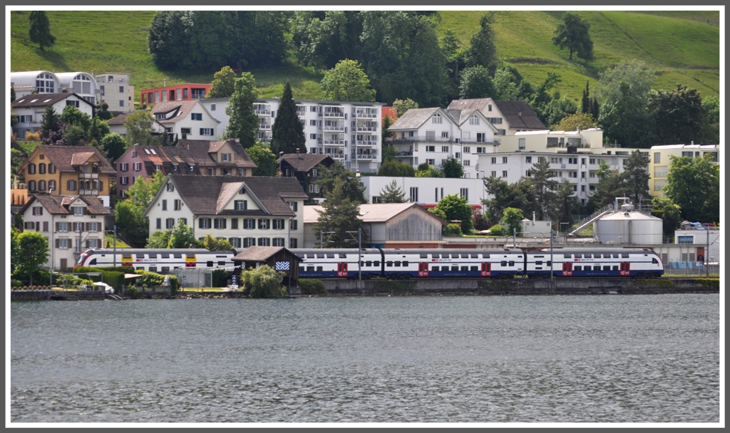 Ein RABe 514 bei Wdenswil, fotografiert von einem Zrichseeschiff. (21.05.2012)
