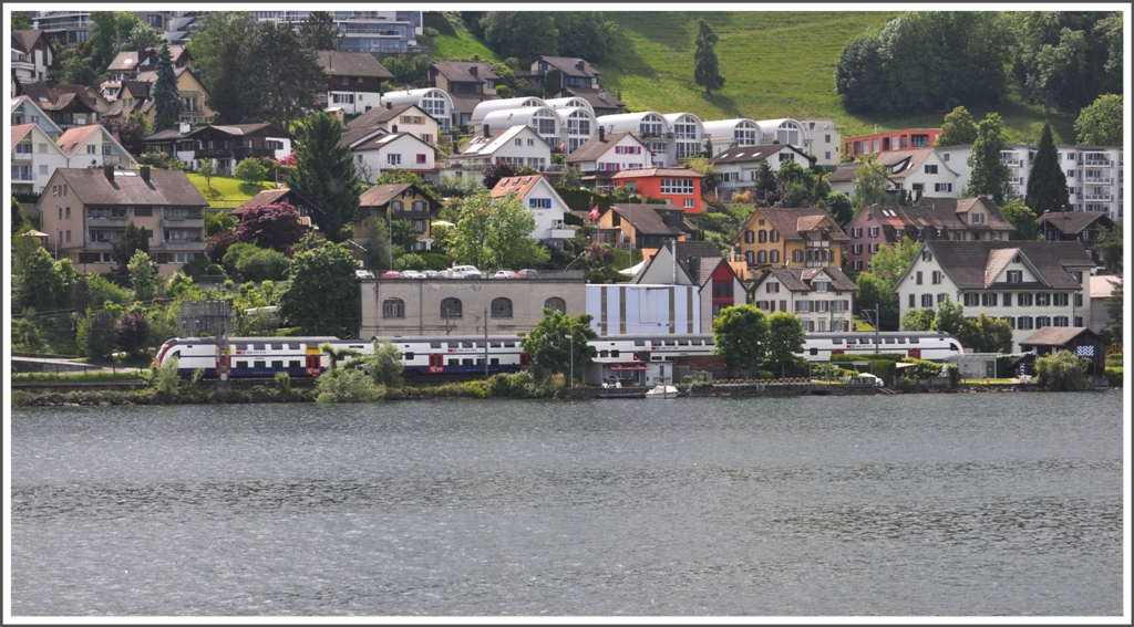Ein RABe 514 bei Wdenswil. (21.05.2012)