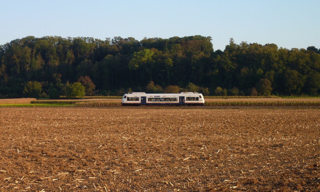 Ein Regioshuttle der SWEG am 28.09.11 zwischen Endingen und Riegel.