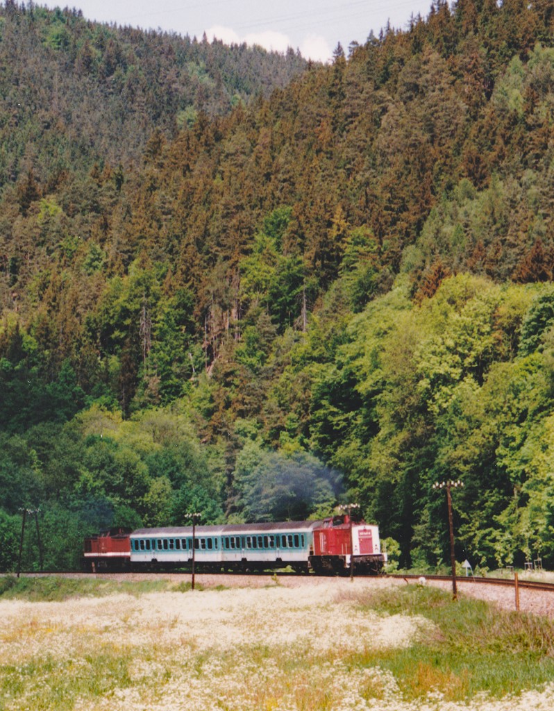 Ein  Sandwichzug  im engen Sormitztal etwa eineinhalb Kilometer sdlich von Leutenberg. (Blick nach Norden am 18.5.98) 