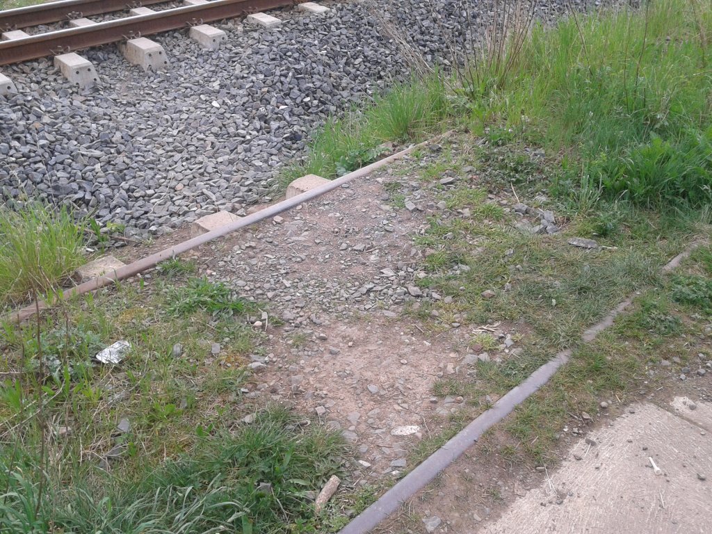 Ein schon lange nicht mehr genutztes Normalspurgleis in Nordhausen. Diente frher einem Schrottplatz. Dahinter das Schmalspurgleis der HSB (Nordhausen 09.05.2013)