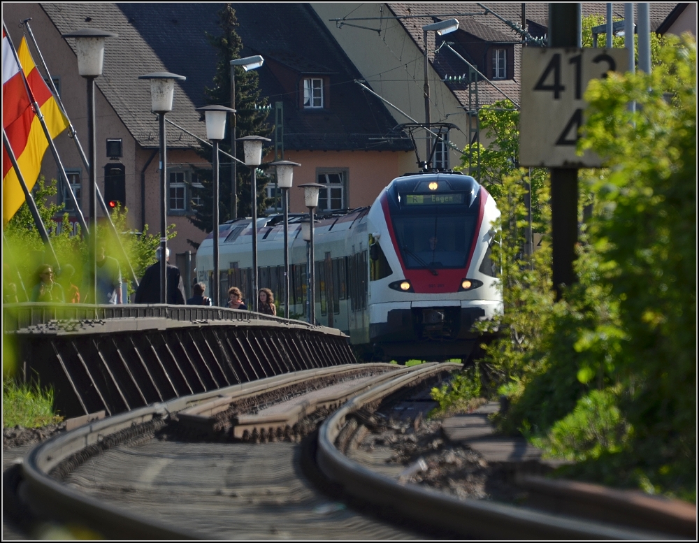 Ein Seehas berquert die Rheinbrcke in Konstanz. Mai 2012.
