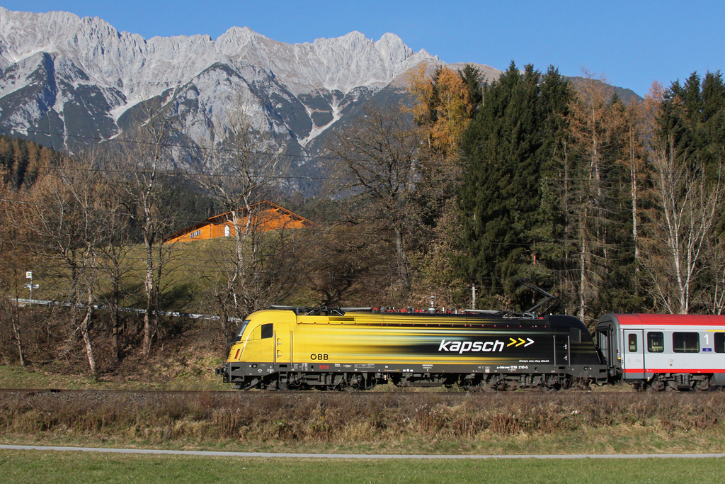 Ein Seitenportrait vom Kapsch Taurus. Terfens im Inntal, 19.11.2011.