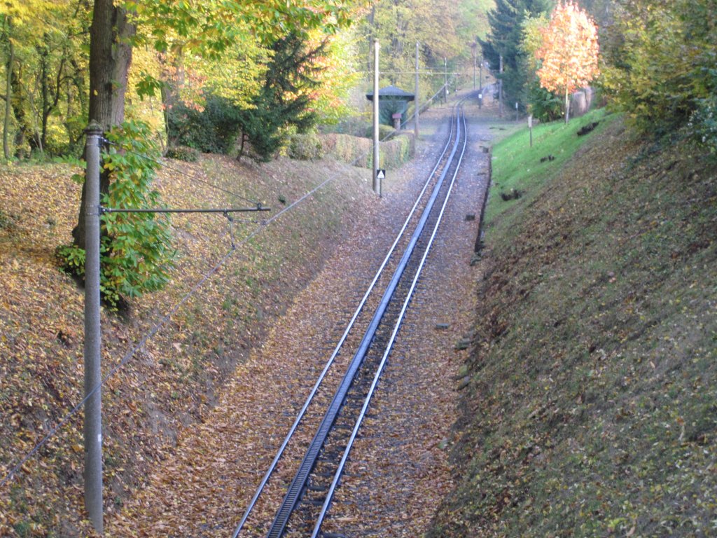 Ein Streckenteil der Drachenfelsbahn.