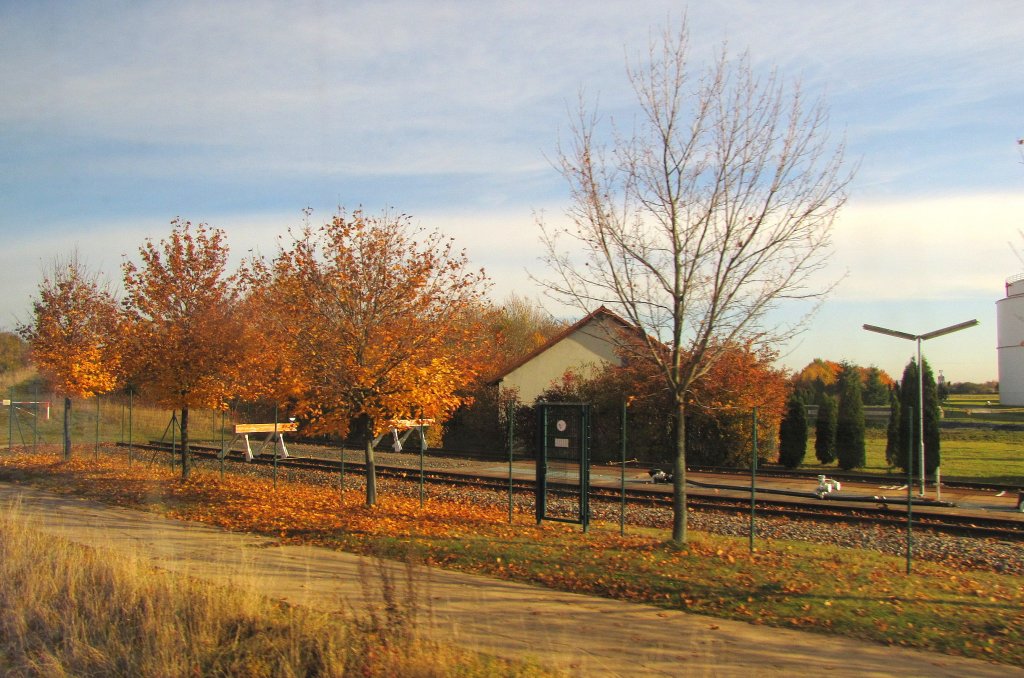 Ein Teil der Gleisanlagen vom Tanklager neben dem Bf Emleben; 03.11.2011
