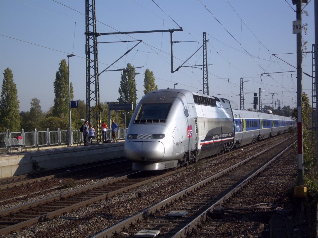 Ein TGV bei der Durchfahrt Neustadt/W.-Bbig am 03.10.2011.