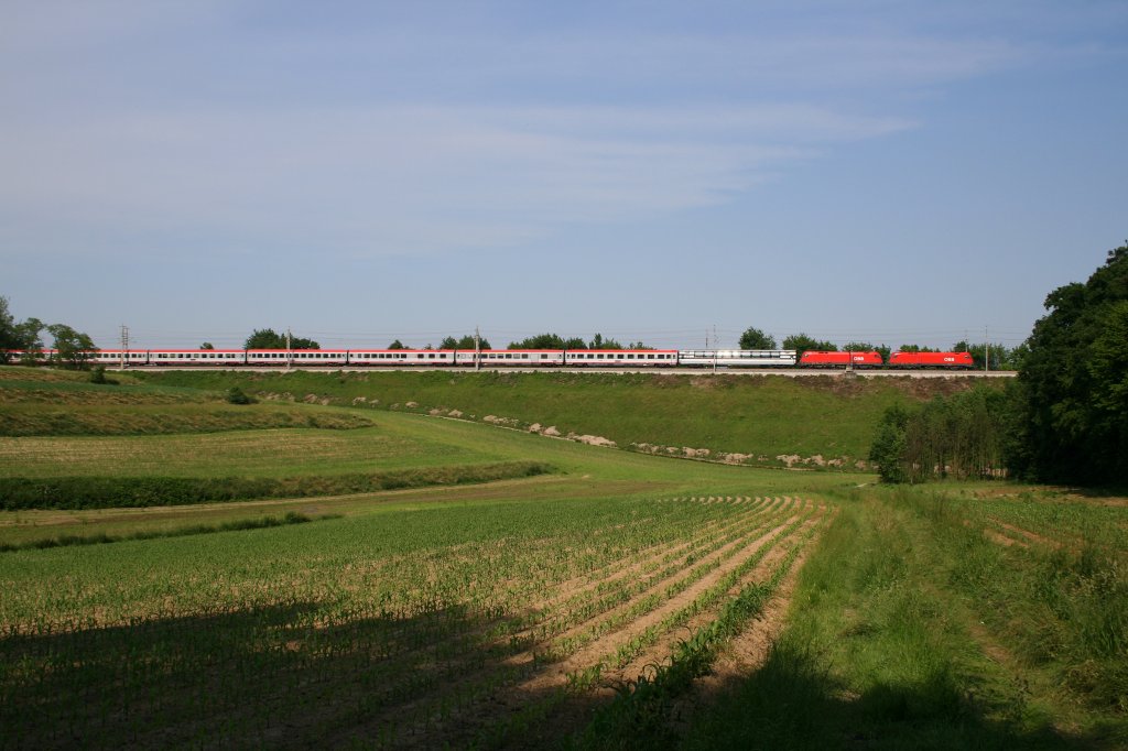 Ein Versuch von mir, von einem der letzten  Transalpin  Zge ein Bild zu machen. Mittlerweile ist das ja nicht mehr mglich! OEC 163 in Schildberg am 09.06.2010