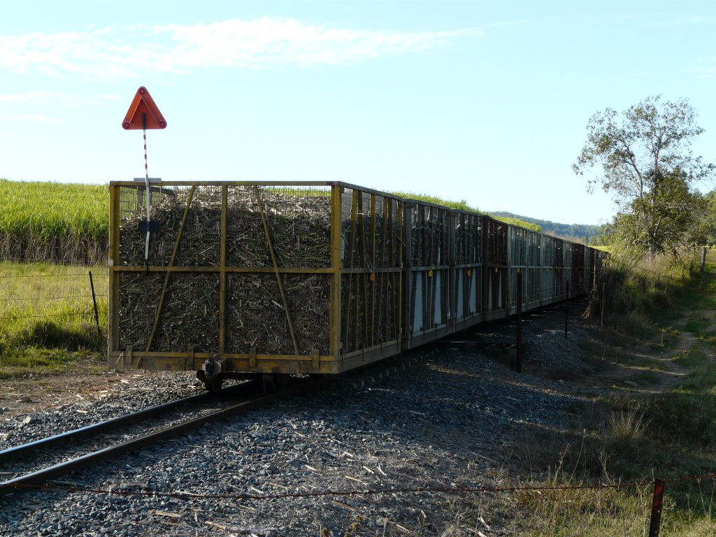 Ein voller Zuckerrohrzug hat gerade einen Bahnbergang berquert fhrt nun am 5.7.2009 in Richtung Mackay. Die Zge sind sehr lang und sehr langsam, so dass man viel Geduld braucht wenn man an einem Bahnbergang steht. Im Hintergrund sieht man ein Zuckerrohrfeld.