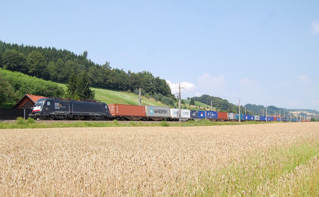 Ein weiterer Containerzug bespannt mit der
ES 64 U2-063 ist am 17.07.2010 in Schlsslberg
bei Grieskirchen durchgefahren