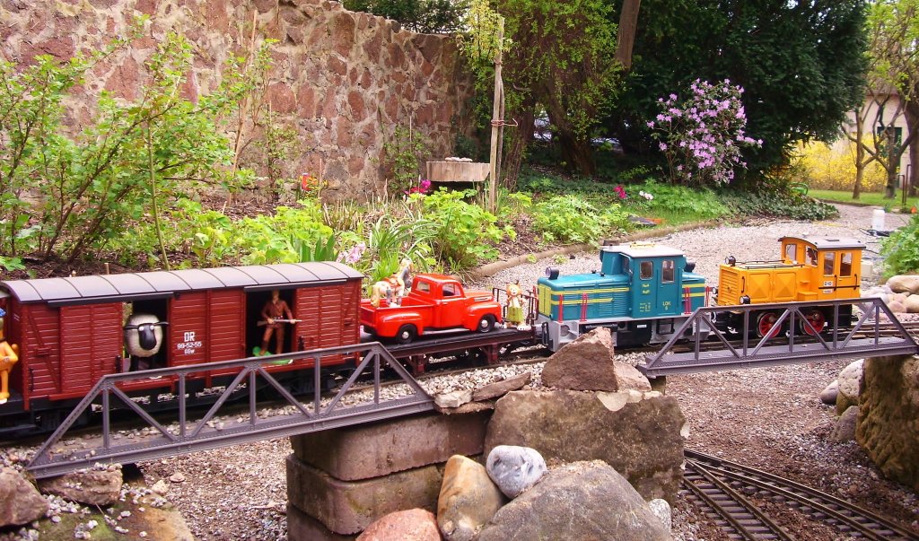Eine   Schma    und eine  D10  befrdern am 09.03.07  einen Kurzgterzug ber die  Sommerunde der Gartenbahn. Die  Ladung des Flachwagens ist gut zu erkennen, aber was verbirgt sich im G Wagen, neben dem dicken Schaaf, so da ein beaffneter Begleiter mitfhrt ?  Karl May Lesern fllt dazu vielleicht etwas ein, allerdings ist das Pferd  nicht der sagenumwobene Rappe  Rih 
Die Kamera eher auch nicht besonders, es ist eine MEDION, bei ALDI gekauft. 