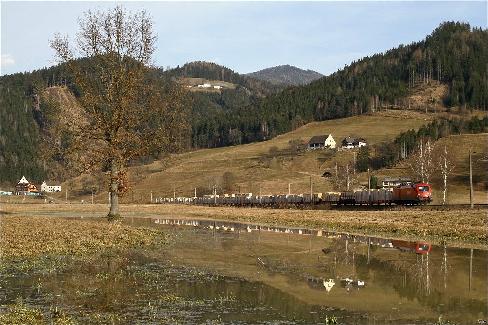 Eine 1116 spiegelt sich in einem berschwemmten Feld nahe St.Lorenzen.
23.03.2010
