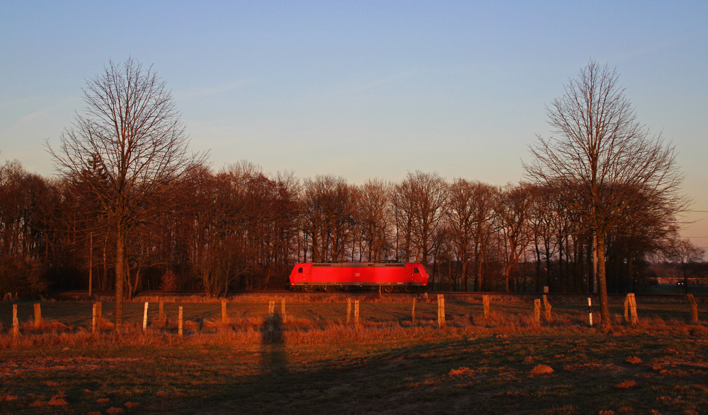 Eine 185 fuhr am 04.03.2013 als Lokzug von Emden nach Drpen, hier bei Eisinghausen.