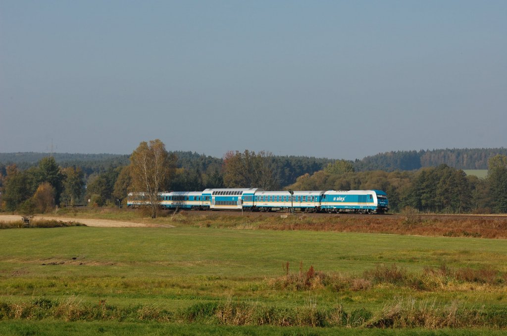 eine 223 mit einem ALX am 14.10.2010 bei Wernberg-Kblitz