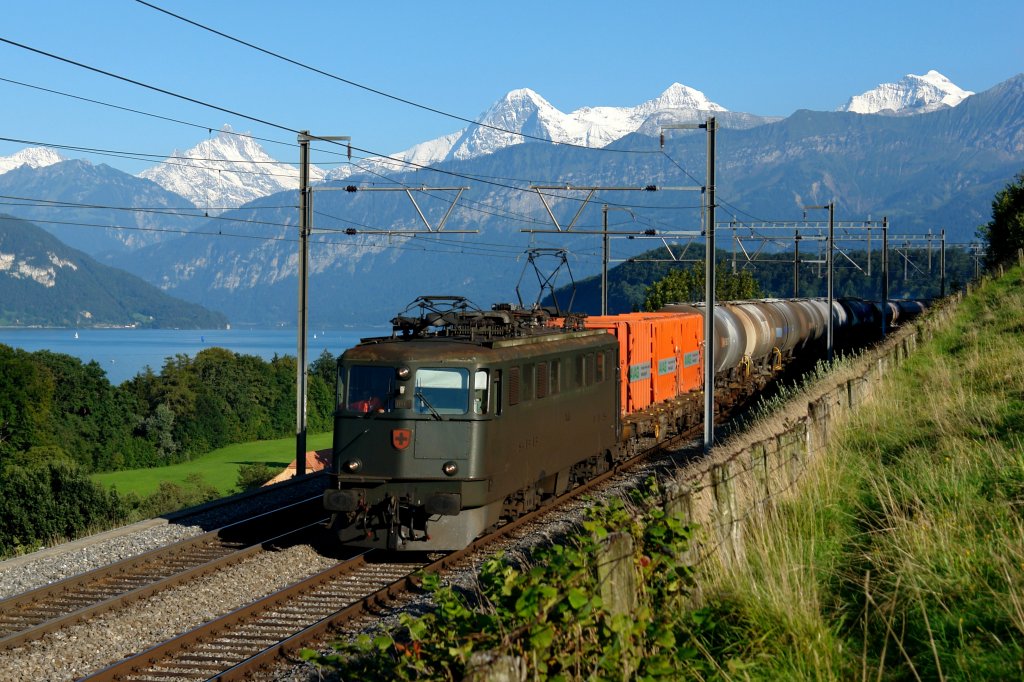 Eine Ae 6/6 mit einem Gterzug am 01.09.2010 unterwegs bei Einigen.