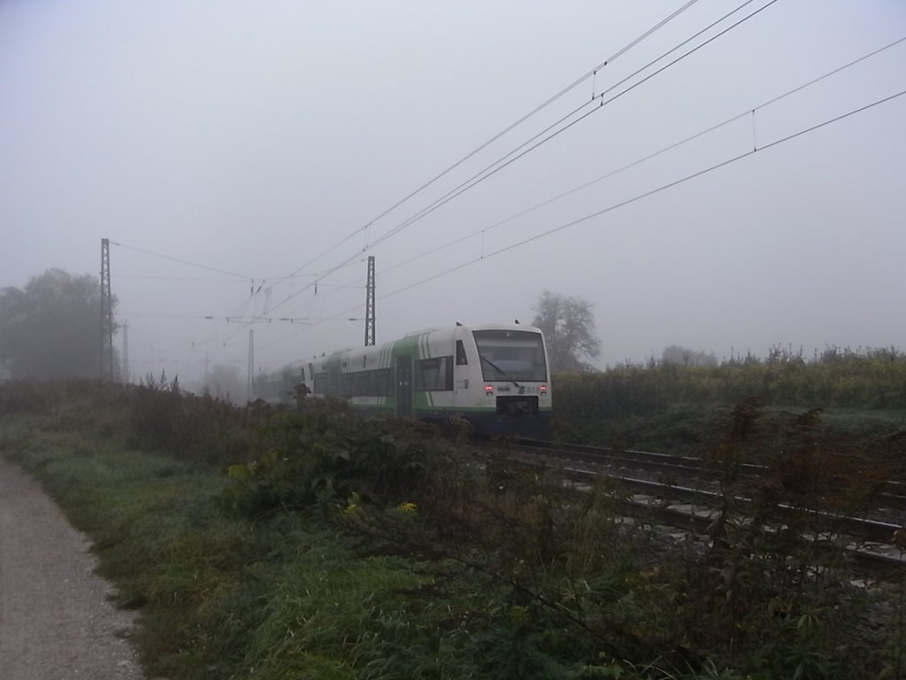 Eine Breisgau-S-Bahn von Freiburg nach Waldkirch kurz vor Denzlingen. 14.10.10.