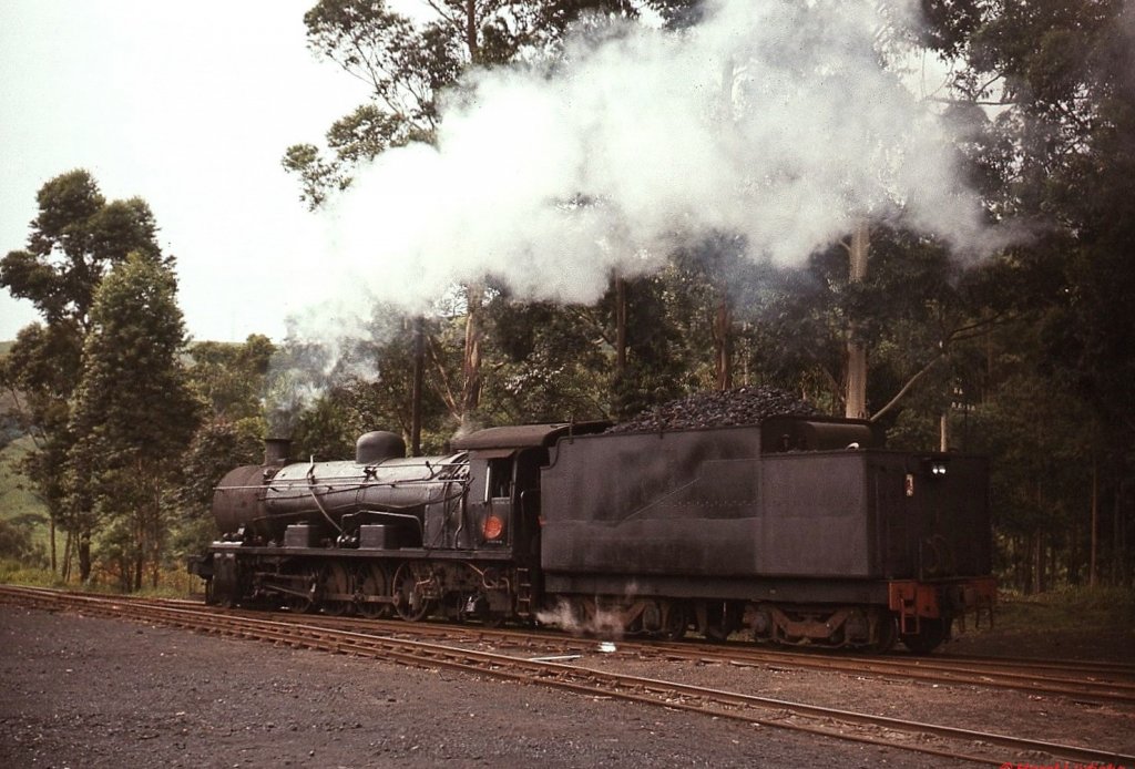 Eine Class 14R im Depot Mason's Mill, das idyllisch wie sein Name unweit von Pietermaritzburg in einem Waldstück lag (November 1976)