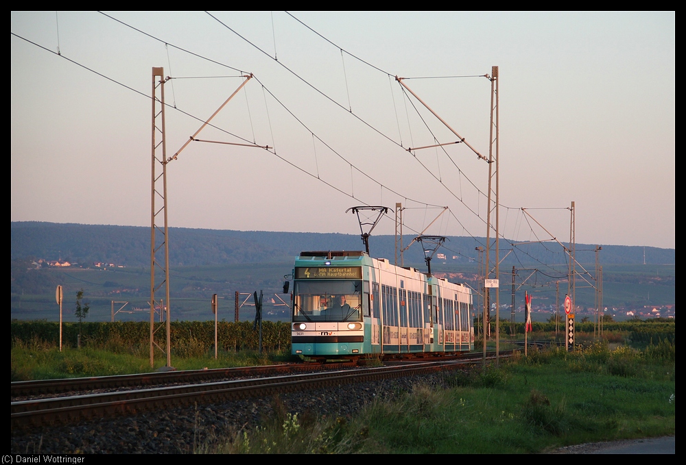 Eine Doppeltraktion aus zwei GT6N, fhrend der 5631, am Morgen des 06. September 2010 im Anflug auf den Hp Friedelsheim.