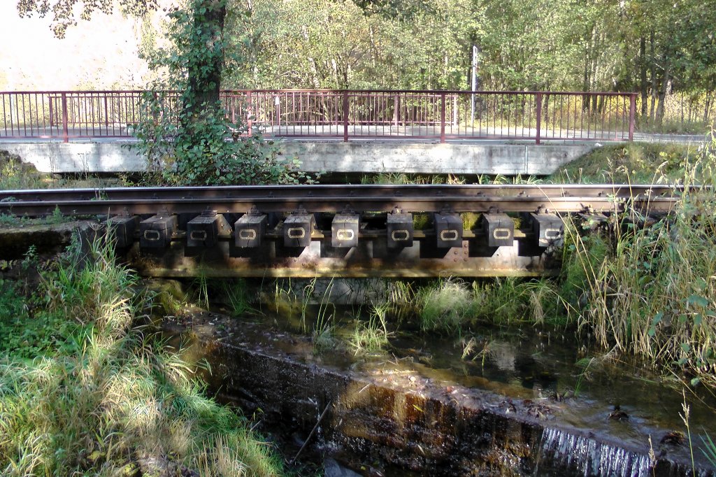 Eine einfache Profiltrgerbrcke ber den Uhlenbach im Seleketal unweit Silberhtte.19.10.2012  10:59 Uhr