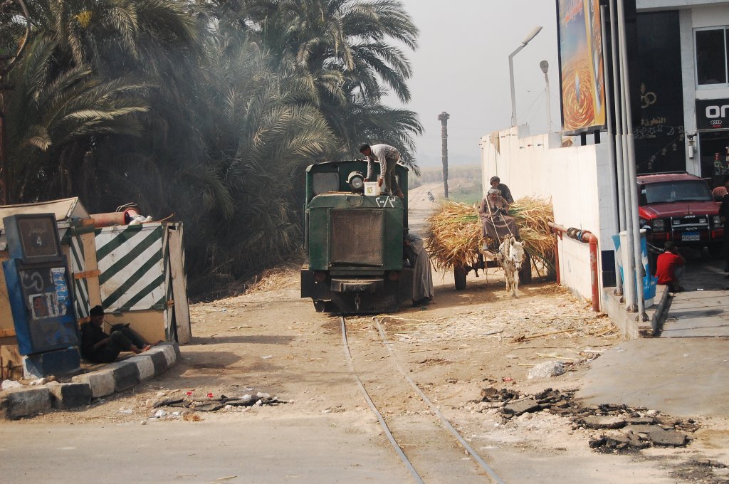 Eine grne Lok, die in Luxor Zuckerrohr befrdert. Dieses Bild wurde in einem fahrenden Bus aufgenommen. Nebendran steht ein Esel.