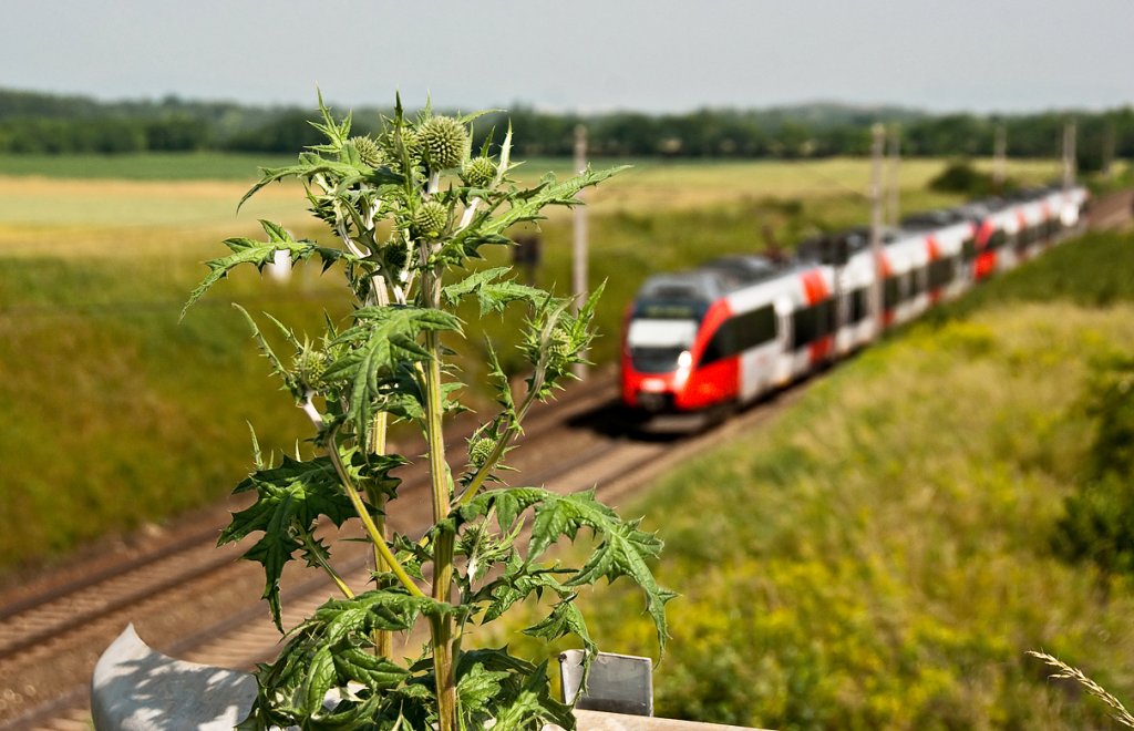 Eine Impression von REX 7614 (Bratislava - Wien). Die Aufnahme entstand am 12.06.2010.