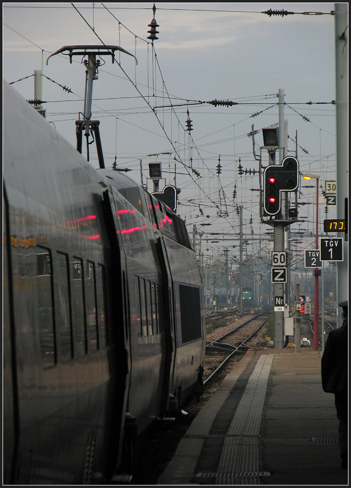 Eine kleine Impression vom Gare Centrale in Strasbourg - 

29.10.2011 (J)