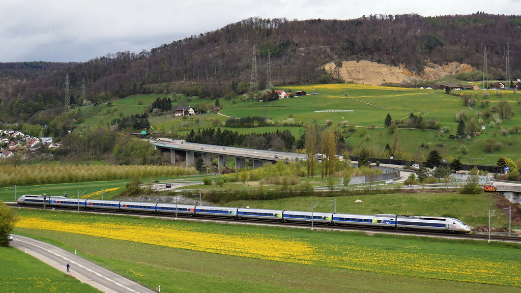 Eine Lwenzahnwiese bildet die Kulisse fr den TGV 4418 auf dem Weg nach Zrich. Sissach im Baselbiet am 21.4.2012.