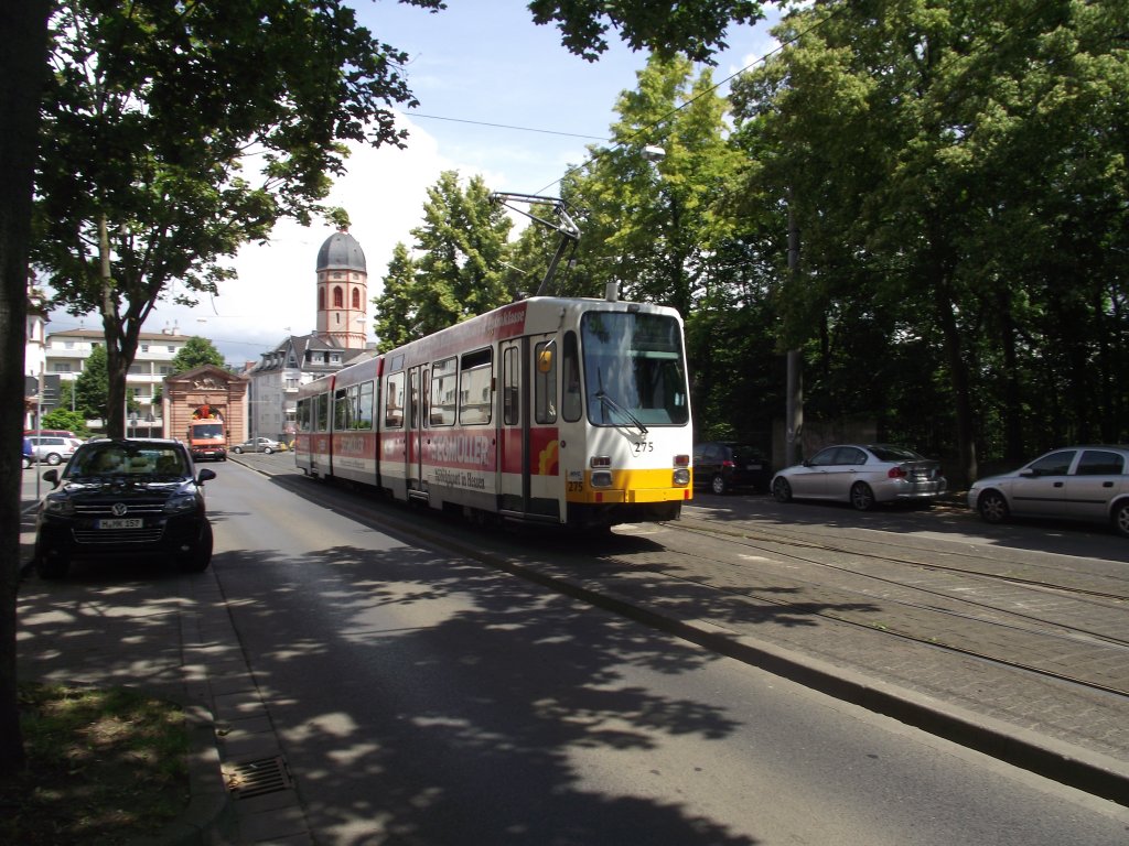 Eine Mainzer Stra�enbahn am 14.06.11
