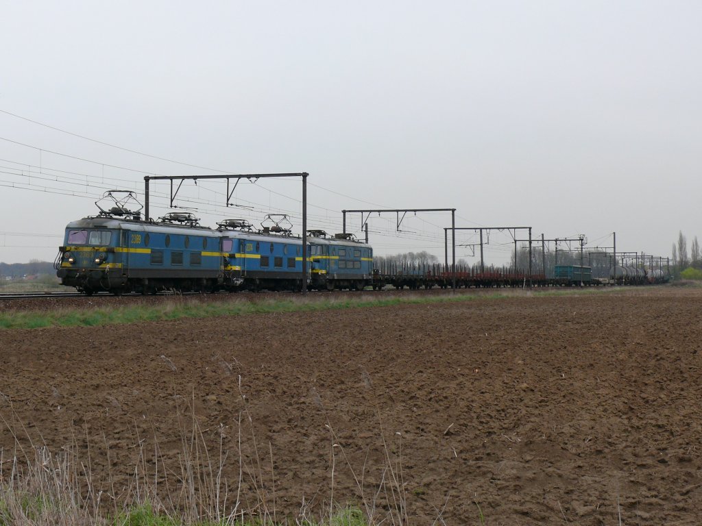 Eine nicht alltgliche Erscheinung : SNCB-Loks 2369 und 2374 mit der abgebgelten 2617 und einem gemischten Gterzug auf der grossen Schleife bei Ekeren. Aufgenommen am 07/04/2010.