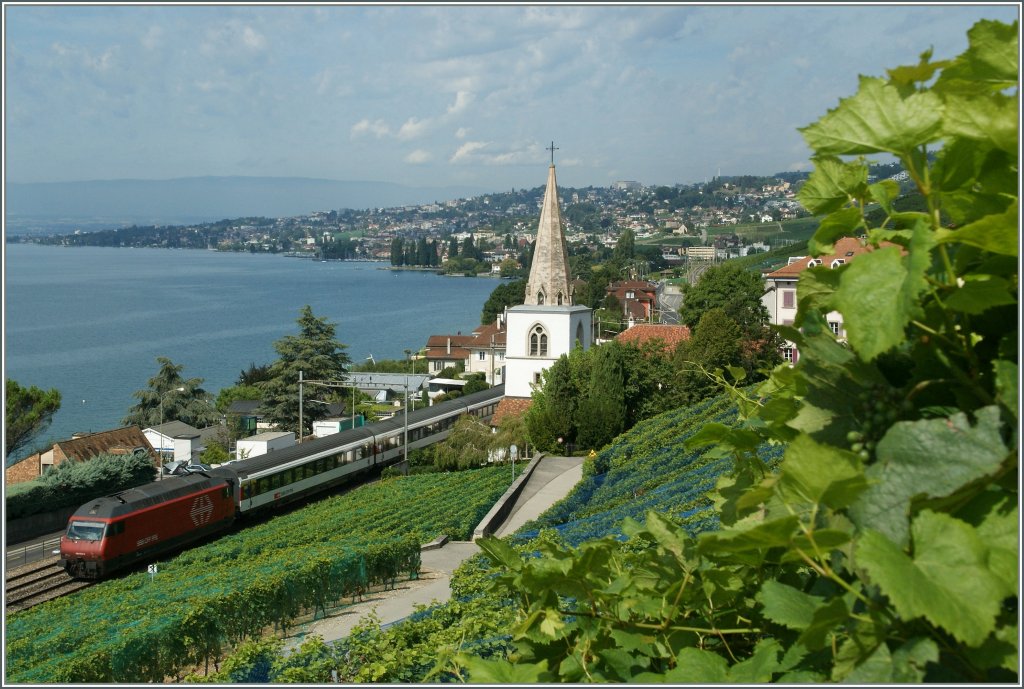 Eine Re 460 mit einem IR nach Brig in den Weinreben bei Villette. 
29. Aug. 2012 