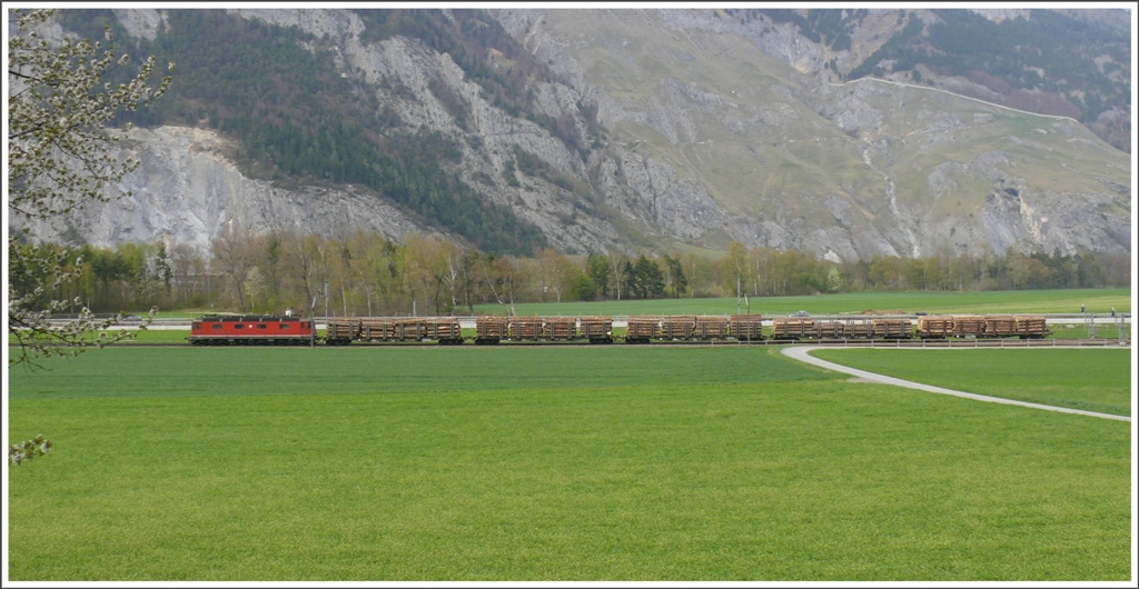 Eine Re 6/6 ist mit fnf Holzwagen unterwegs zur Sgerei Mayr Melnhof in Ems Werk, hier bei Felsberg. (21.04.2010)