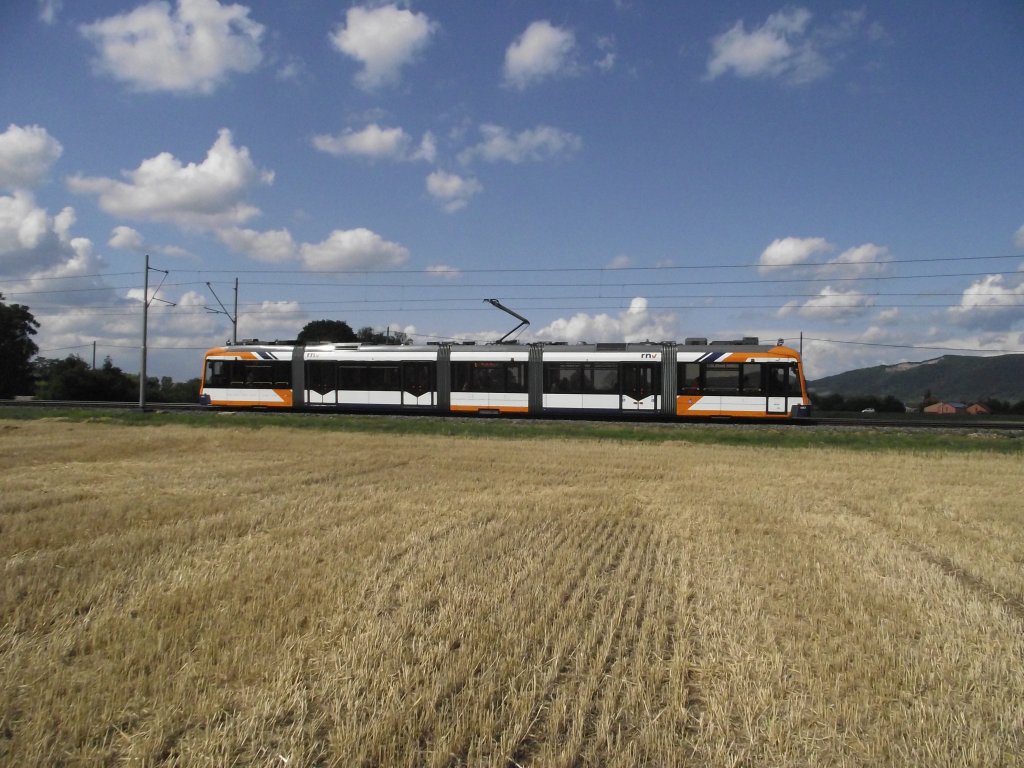 Eine RNV Variobahn (RNV6) bei Edingen am 01.07.11