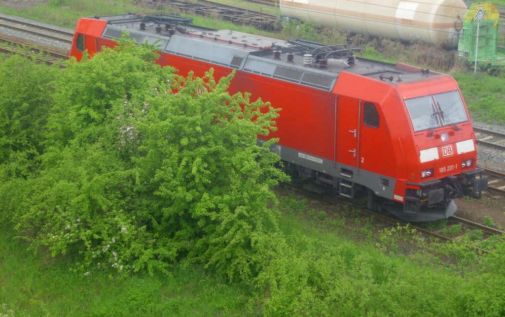 Eine rote Lok kann man nicht hinter einem grnen Busch verstecken, wie die 185 201-1 am 11.05.2013 in Nordhausen